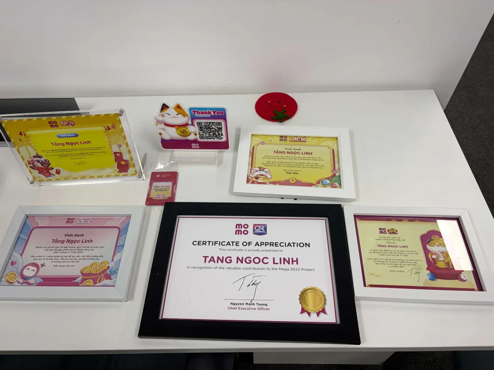 Framed certificates and thank-you notes from campaigns laid out on a white table.
